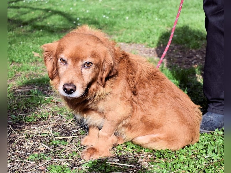 Telyr - "Test, Test, Test"