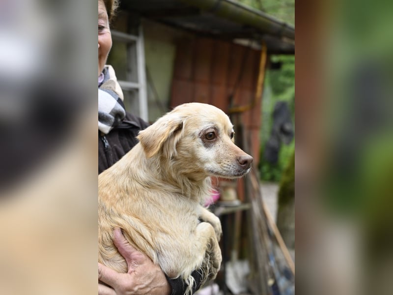 Rona - Vom Dunkel ans Licht