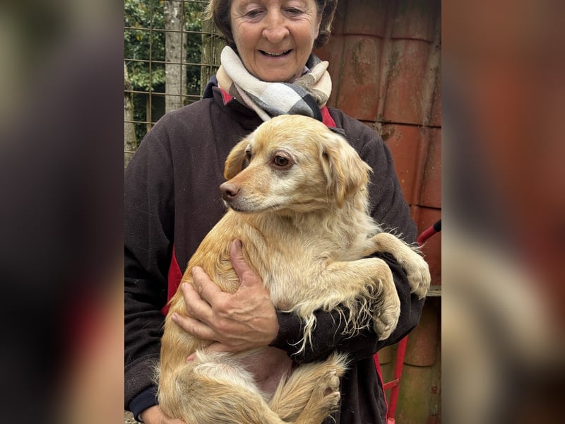 Rona - Vom Dunkel ans Licht