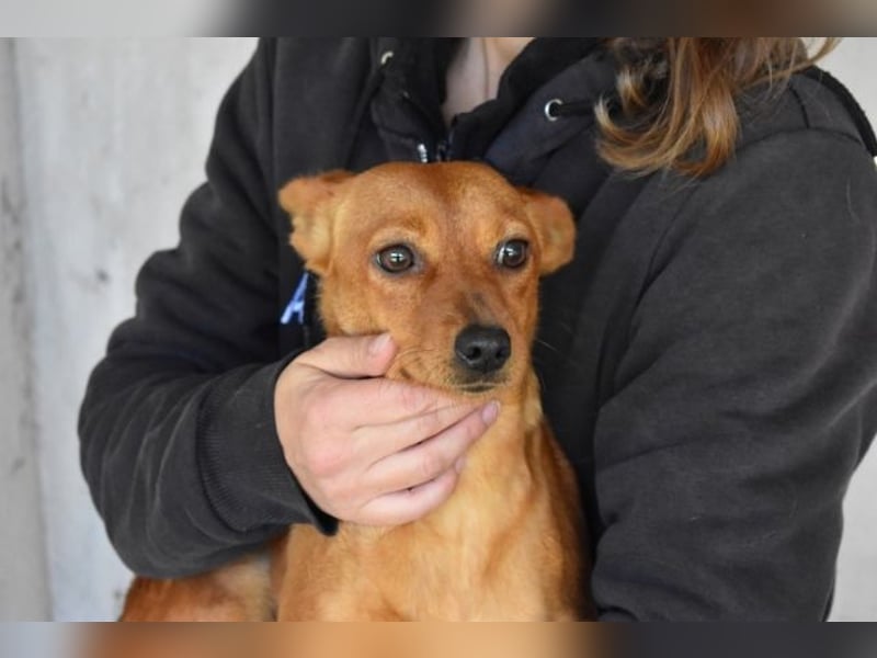 Thamira - " Nicht einmal...!"