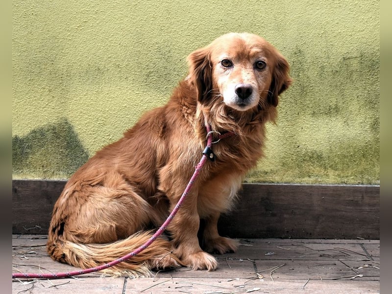 Telyr - "Test, Test, Test"