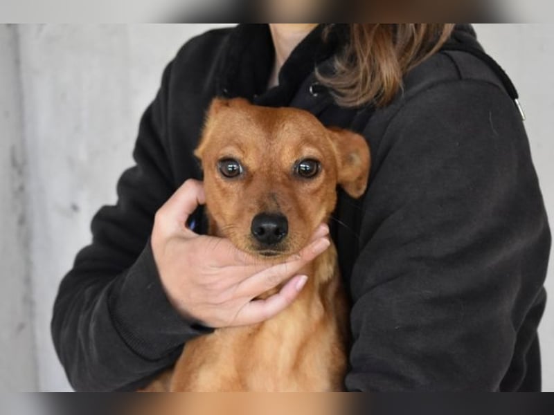 Thamira - " Nicht einmal...!"