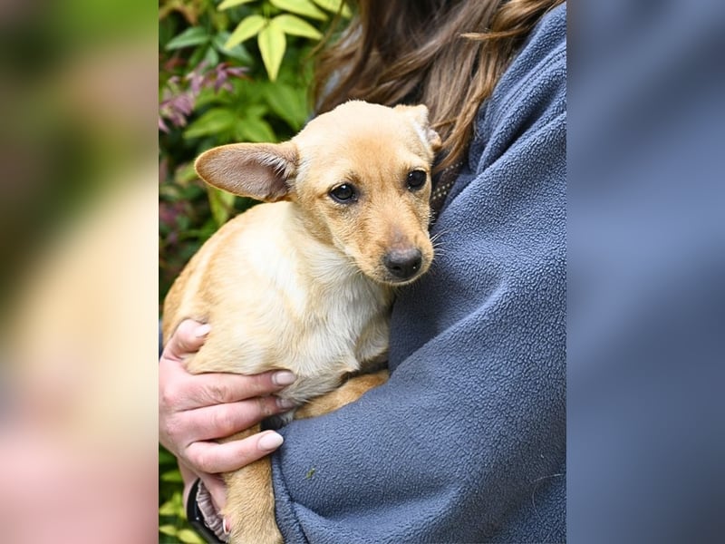 Prospero - was war, darf verblassen - damit Neues ganz langsam wachsen darf