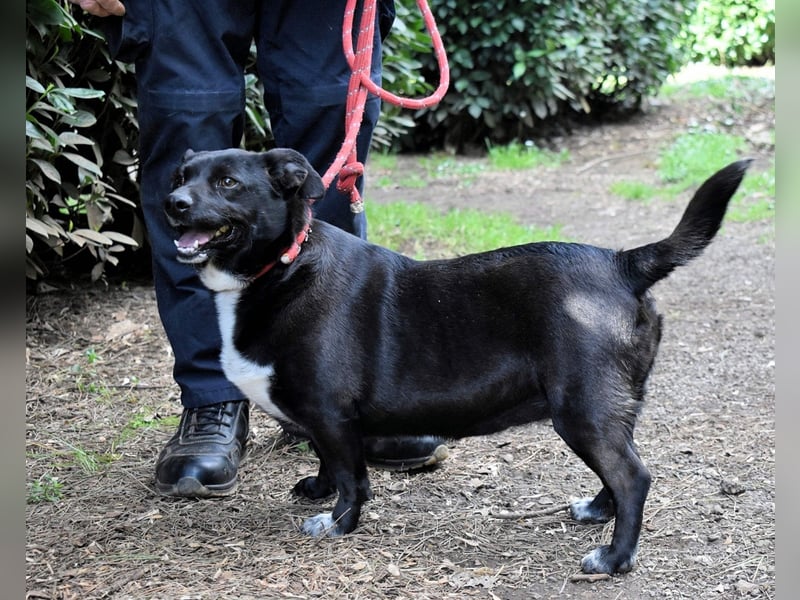 Nettie - was ne Wundertüte!