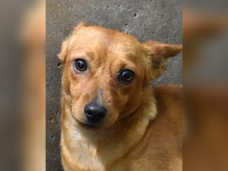 Thamira - " Nicht einmal...!"