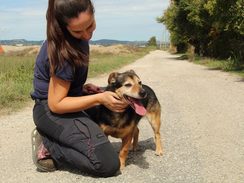Macky - SOS - und sein Weg zurück ins Leben