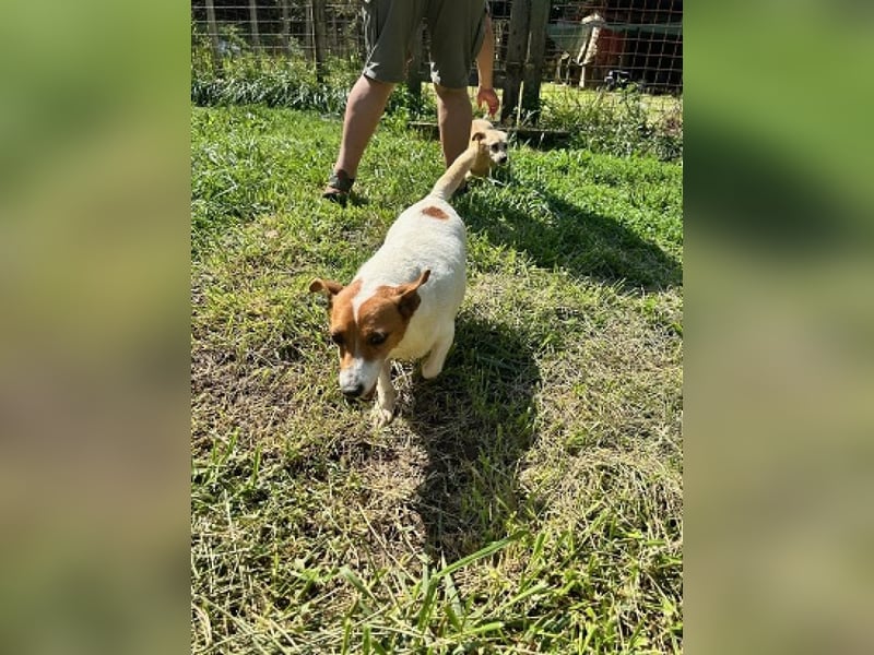 Rose - Wonneproppen möchte nun endlich leben