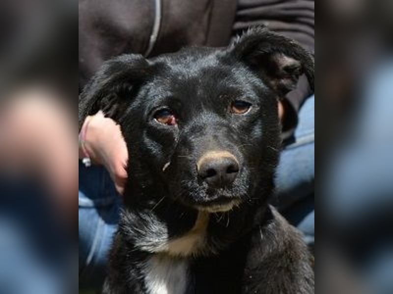 Nettie - was ne Wundertüte!