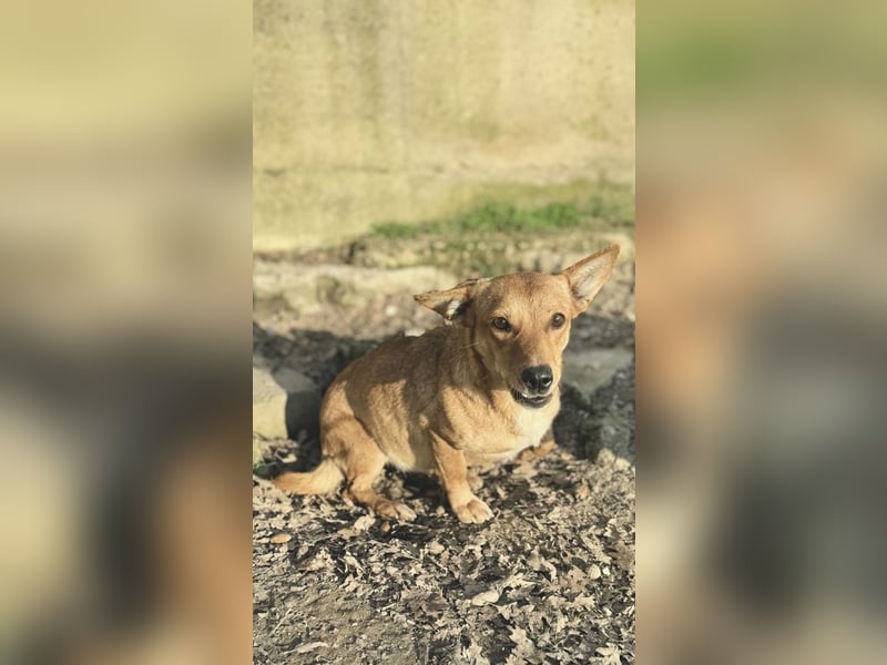 Soraia - unsere kleine Durchhalte-Heldin