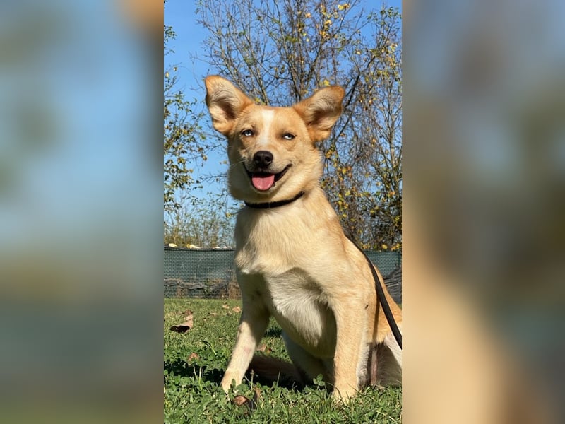 Valentina - Mit blitzblauen Augen die Welt neu entdecken