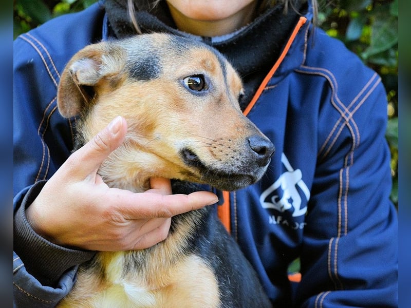 Coryelle - Wenn Schutz-Glitzer plötzlich "Pling" macht