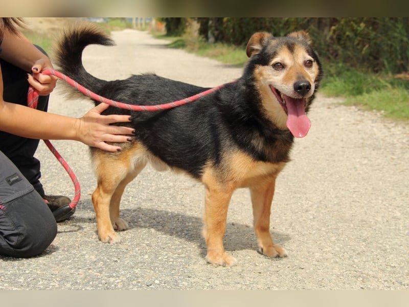 Macky - SOS - und sein Weg zurück ins Leben
