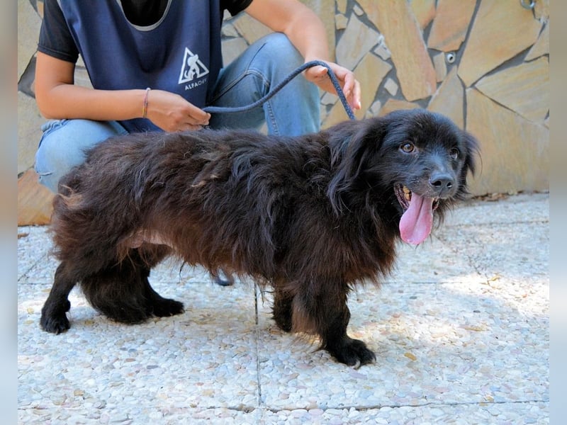 Gingy - Glühwürmchen-Power