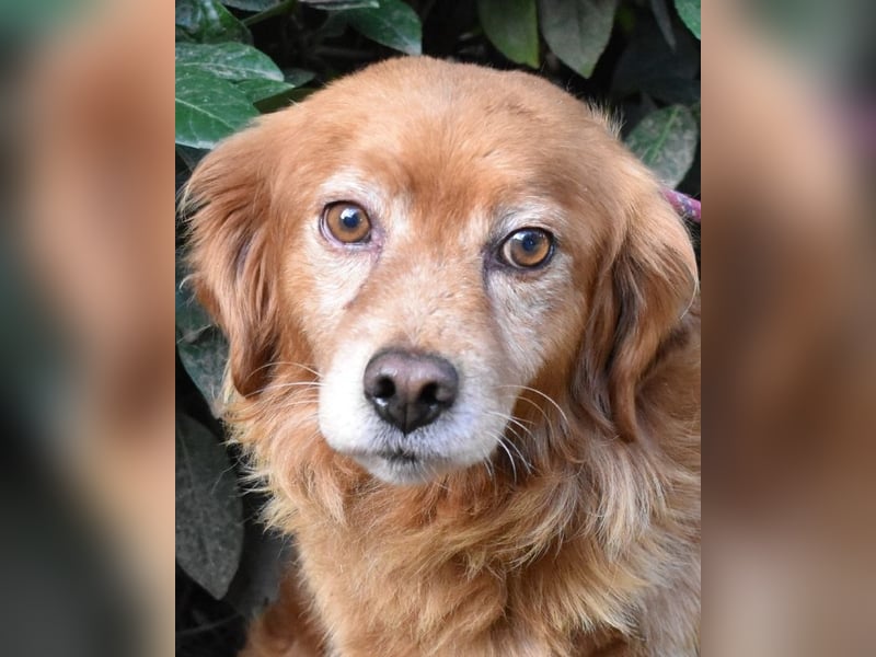 Telyr - "Test, Test, Test"