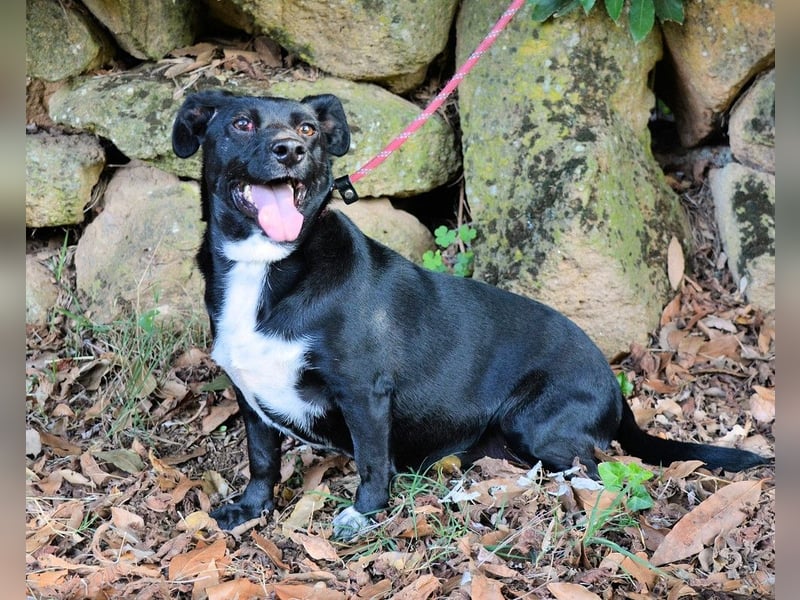Nettie - was ne Wundertüte!