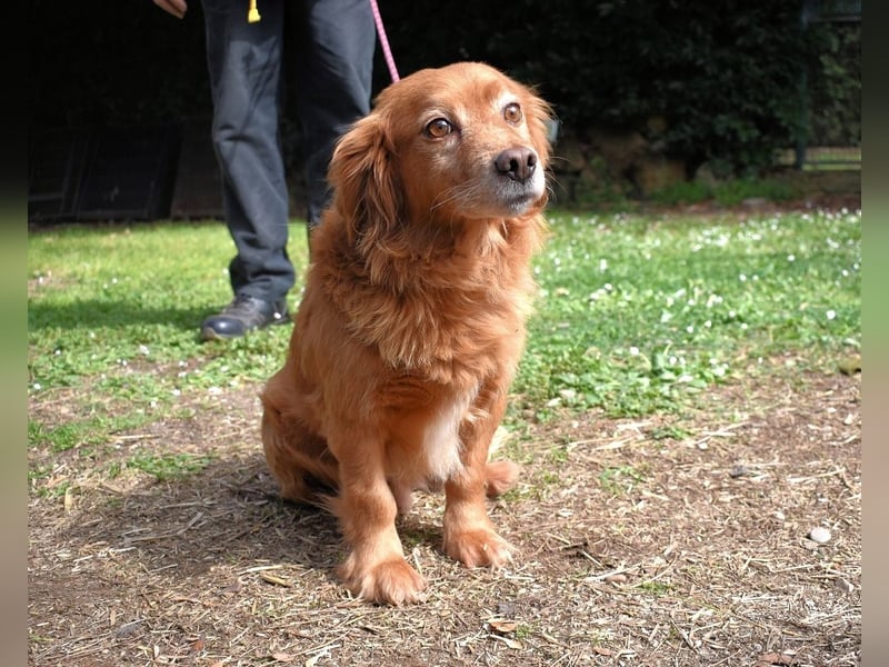 Telyr - "Test, Test, Test"