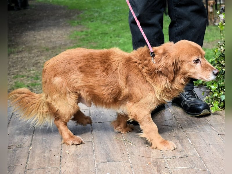 Telyr - "Test, Test, Test"