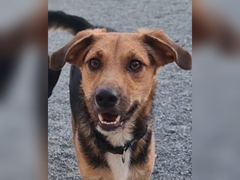 Eddy - Komm hervor, kleiner Eddy