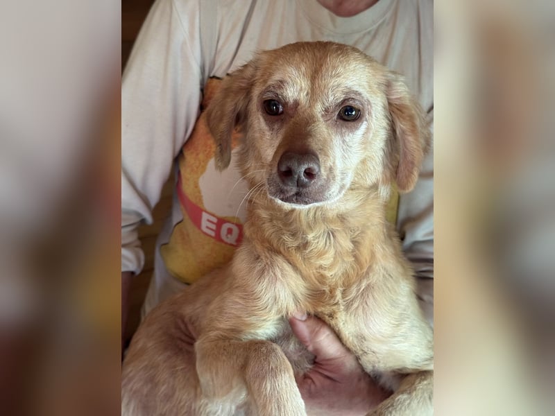 Rona - Vom Dunkel ans Licht