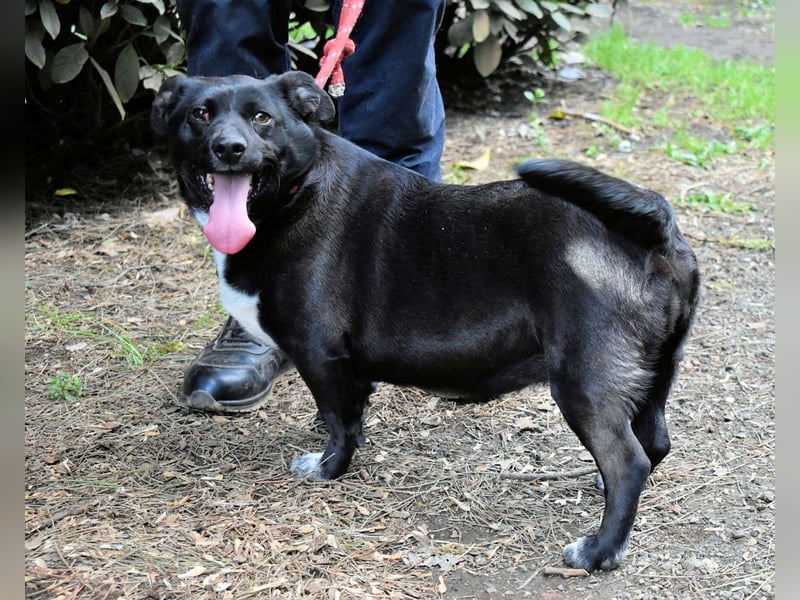 Nettie - was ne Wundertüte!