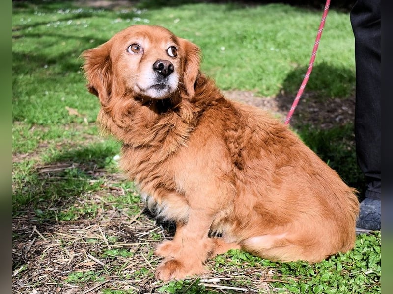 Telyr - "Test, Test, Test"