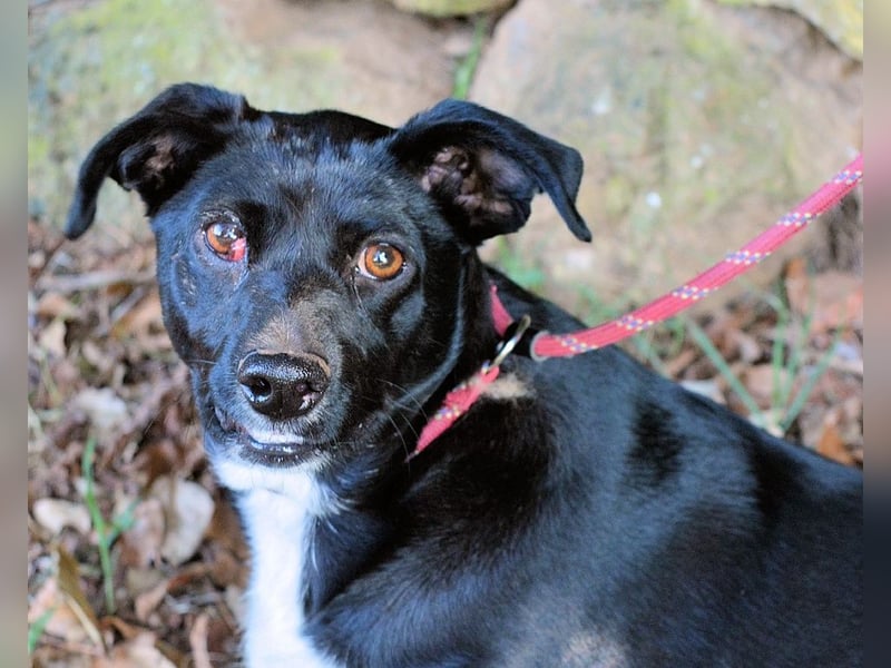 Nettie - was ne Wundertüte!