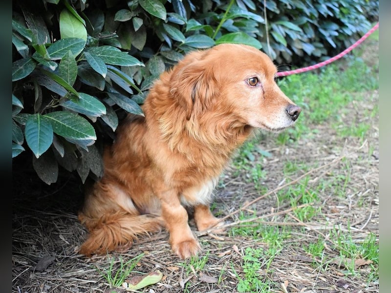 Telyr - "Test, Test, Test"