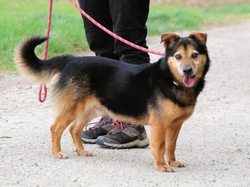 Macky - SOS - und sein Weg zurück ins Leben