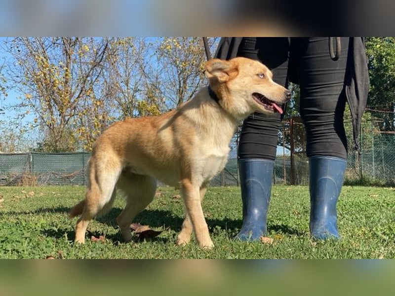 Valentina - Mit blitzblauen Augen die Welt neu entdecken