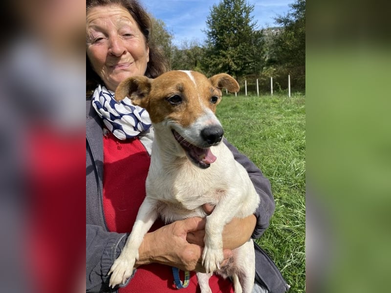 Rose - Wonneproppen möchte nun endlich leben