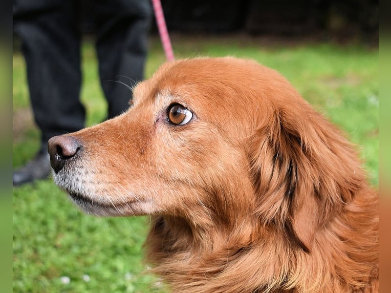 Telyr - "Test, Test, Test"