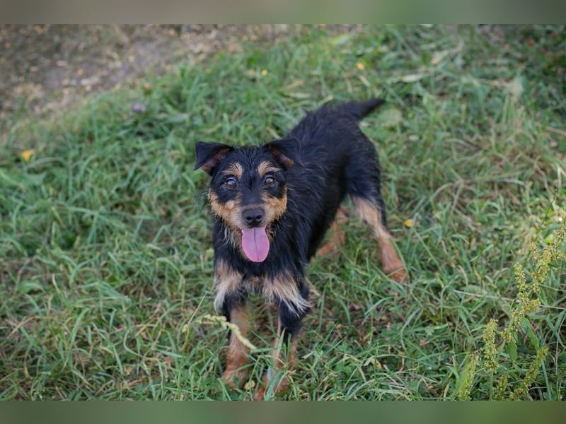 Eloise: Sucht ein Zuhause