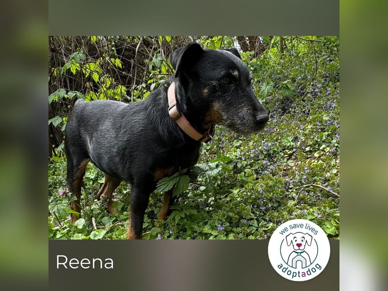 Reena: Neustart! Los geht’s!