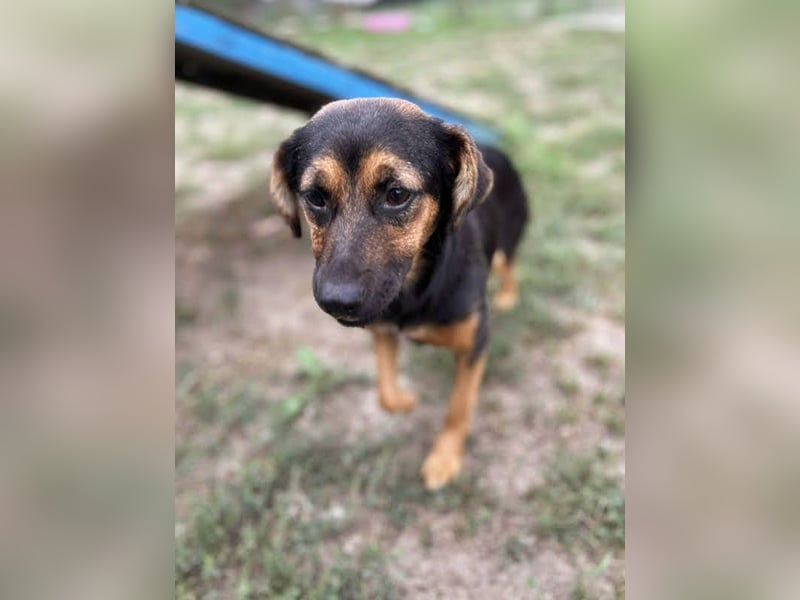 Averna: Zarte kleine Seele