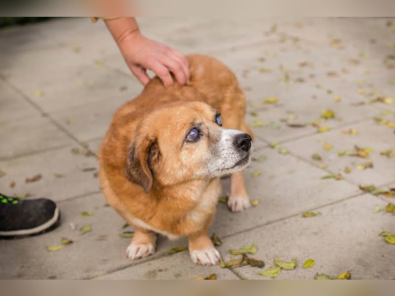 Benedict: Kleiner Kämpfer braucht Liebe