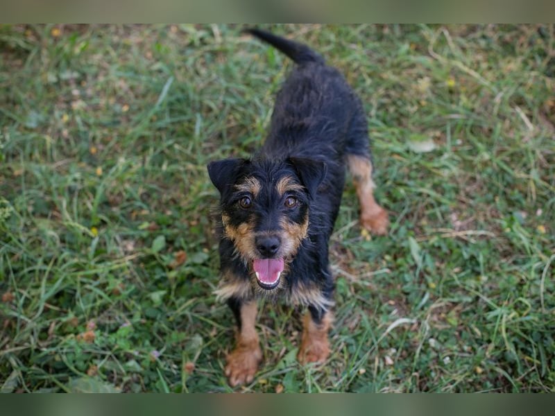Eloise: Sucht ein Zuhause