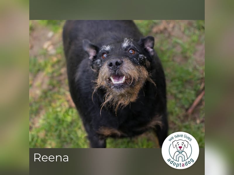 Reena: Neustart! Los geht’s!