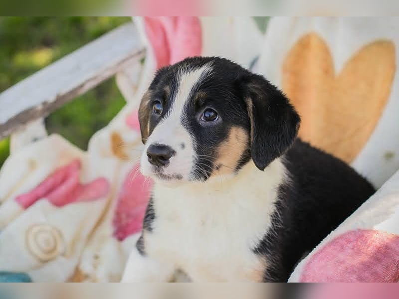 Mirco sucht seine Familie