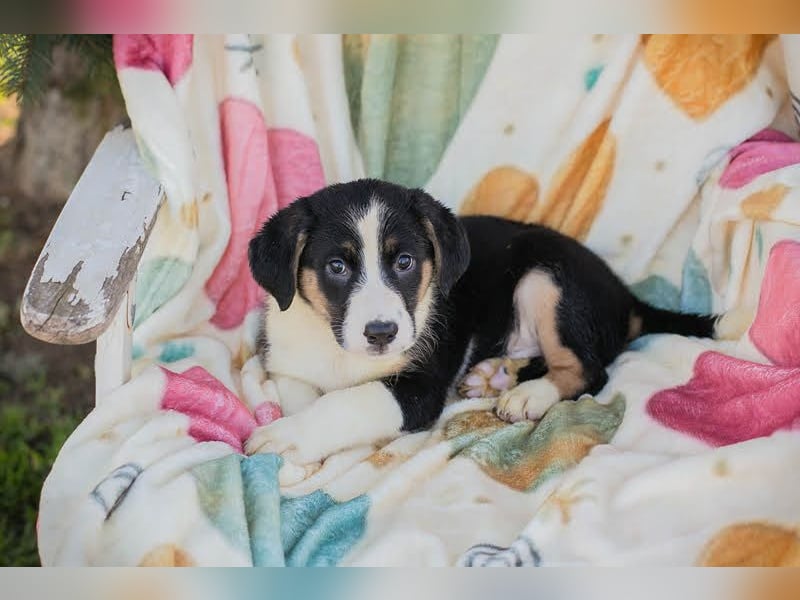 Mirco sucht seine Familie