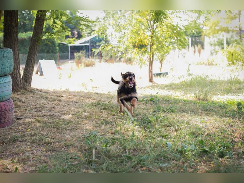 Eloise: Sucht ein Zuhause