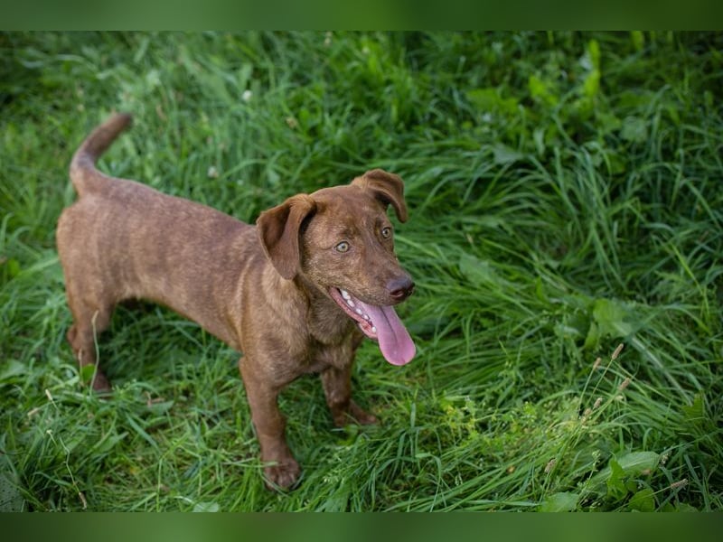 Monty sucht ein Zuhause