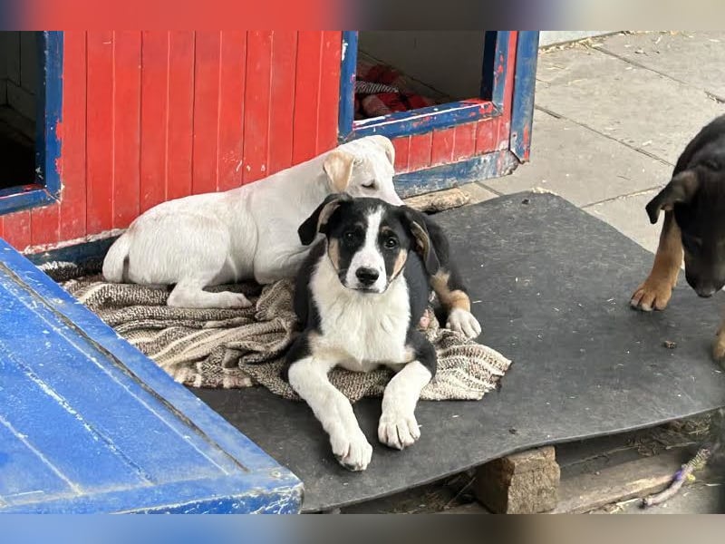 Mirco sucht seine Familie