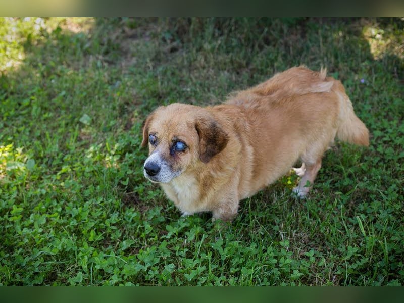 Benedict: Kleiner Kämpfer braucht Liebe