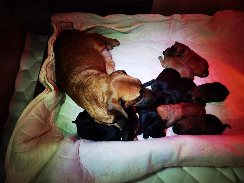 Dinero sucht ein Zuhause