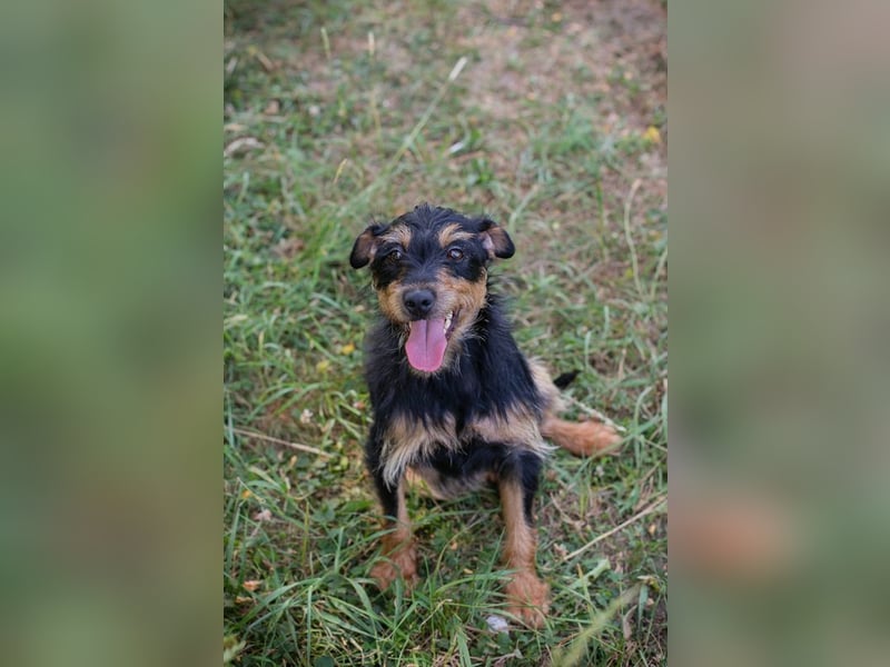 Eloise: Sucht ein Zuhause