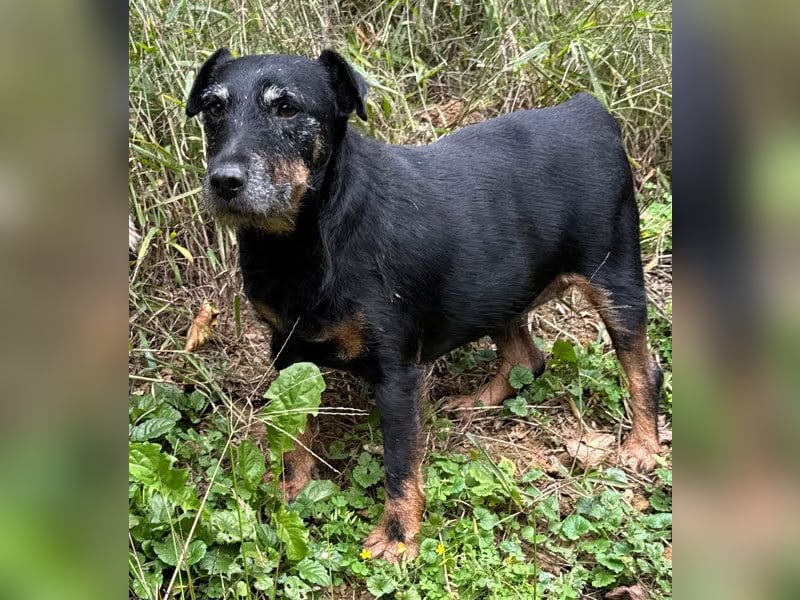 Reena: Neustart! Los geht’s!