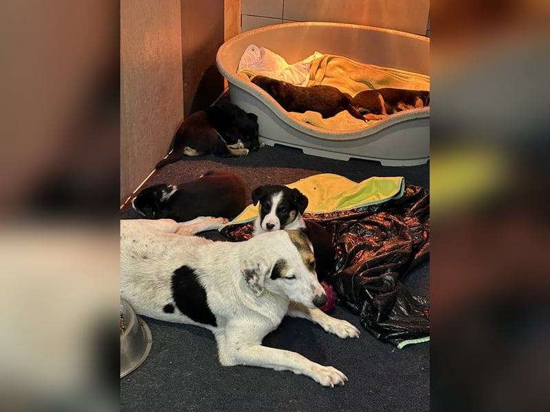 Mirco sucht seine Familie