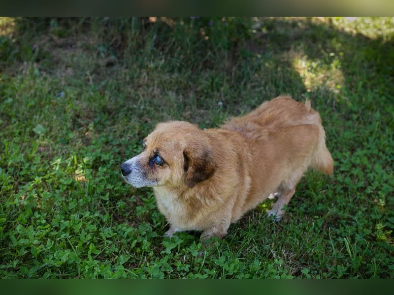 Benedict: Kleiner Kämpfer braucht Liebe