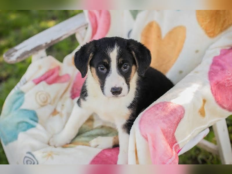 Mirco sucht seine Familie