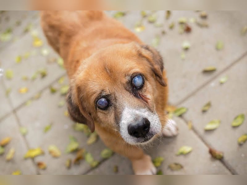 Benedict: Kleiner Kämpfer braucht Liebe